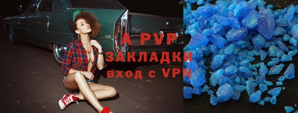 стаф Осинники