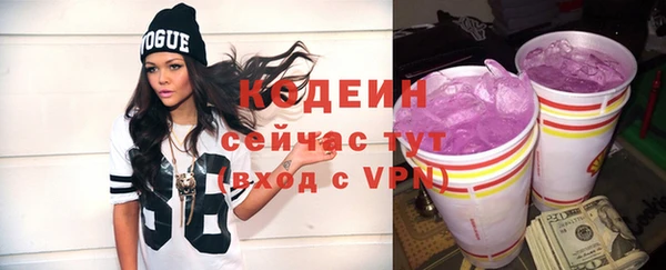стаф Осинники
