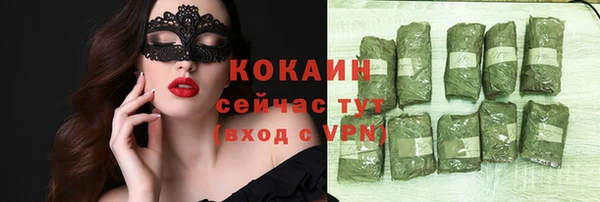 стаф Осинники
