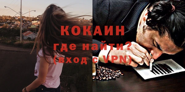 стаф Осинники