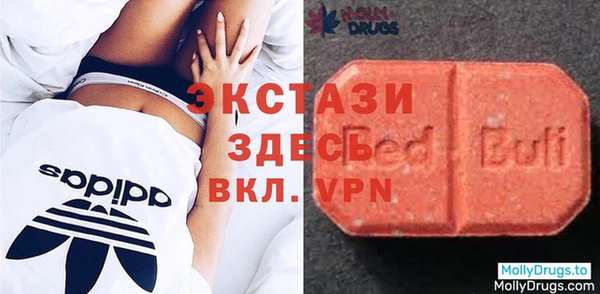 стаф Осинники