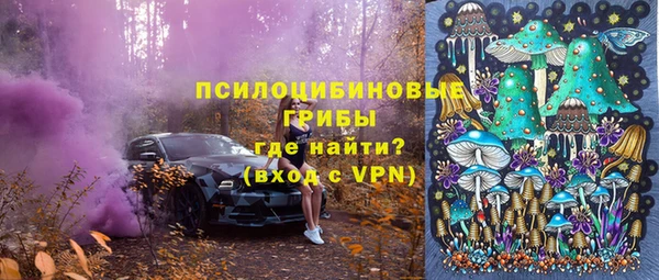 стаф Осинники