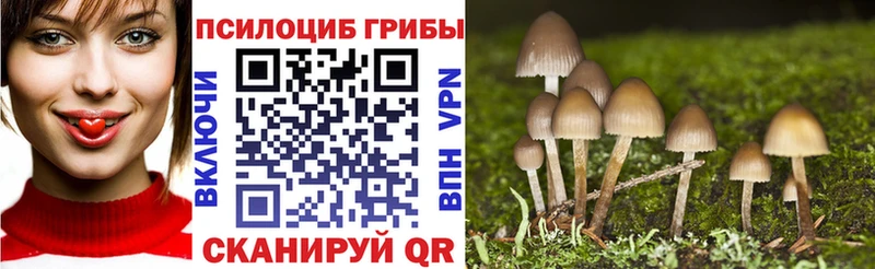 где продают наркотики Рыльск Галлюциногенные грибы прущие грибы